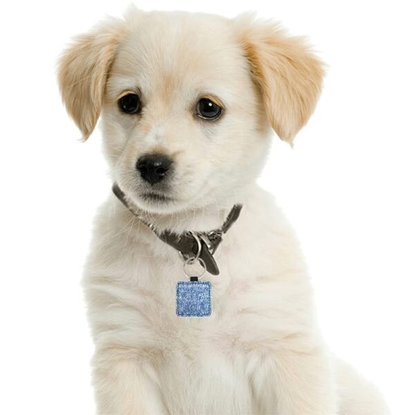 Square Pet ID Tag